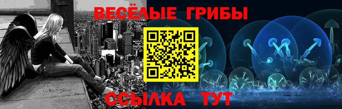 Псилоцибиновые грибы Magic Shrooms Брянск