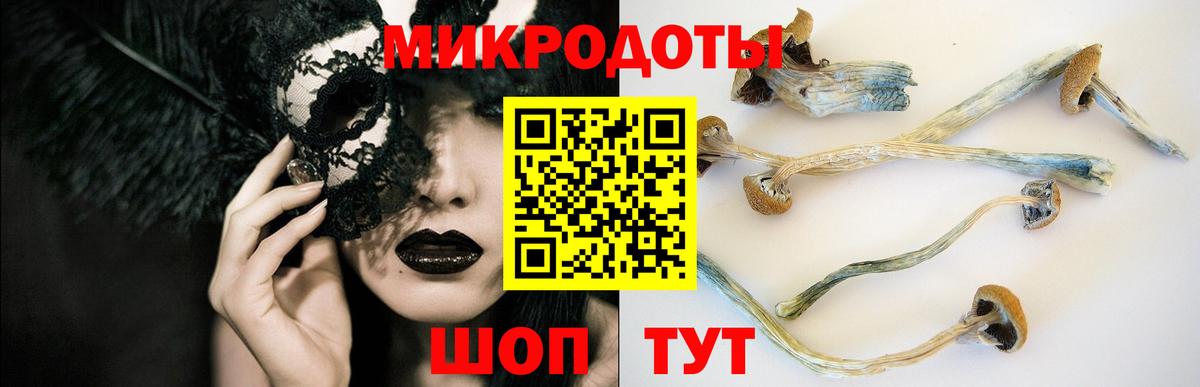 Брянск  Галлюциногенные грибы Psilocybe  Вход с VPN 